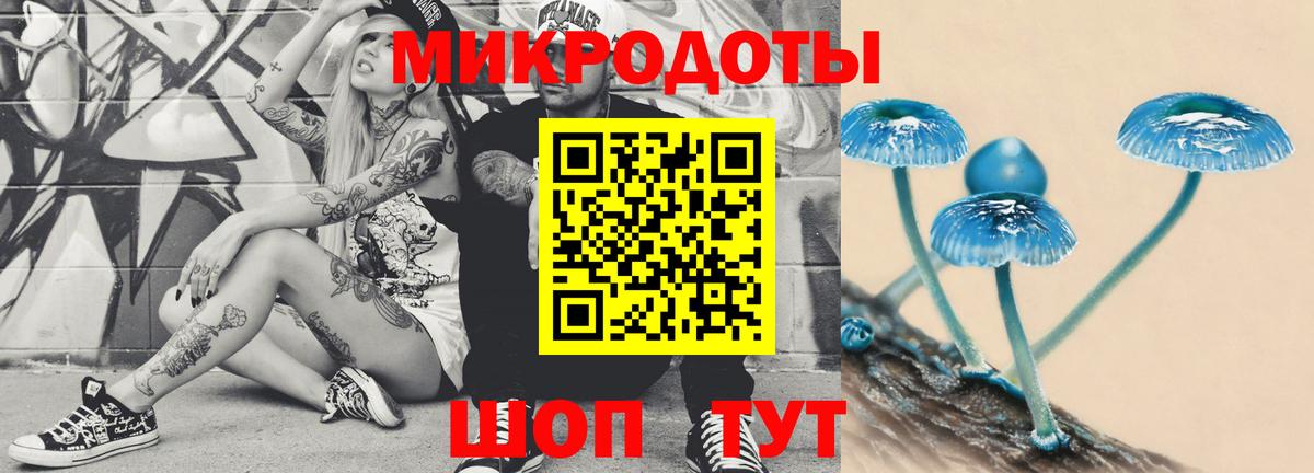 Галлюциногенные грибы Psilocybine cubensis  где найти   Валуйки  Вход с VPN 